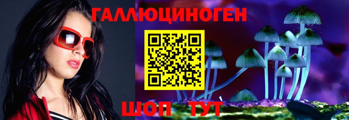Псилоцибиновые грибы GOLDEN TEACHER Торжок